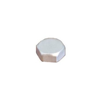 Nickel Plated Blanking Plug